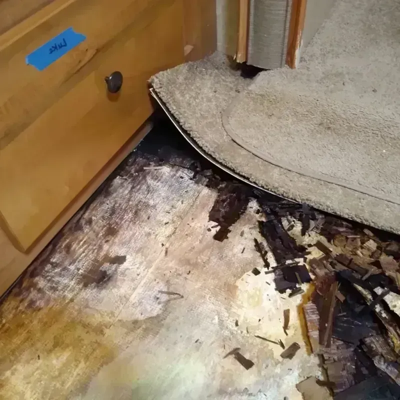 Wood Floor Water Damage in Rocky Point, NC